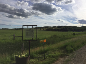 theFarm
